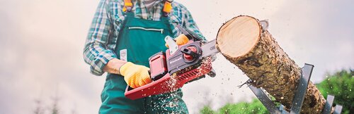 a man cuts a tree with a battery chainsaw