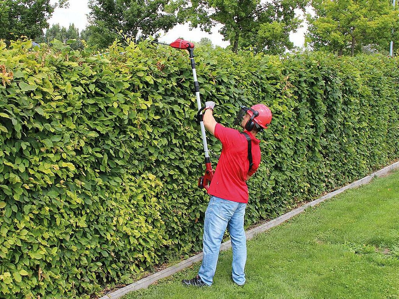 Energy-saving tree and hedge-cutting | Einhell Advisor