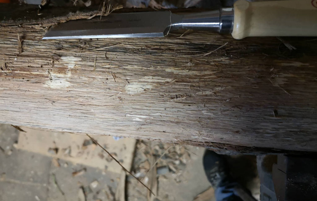 Holzbrett wird als Teil eines DIY-Weihnachtsdeko-Projekts gesägt.