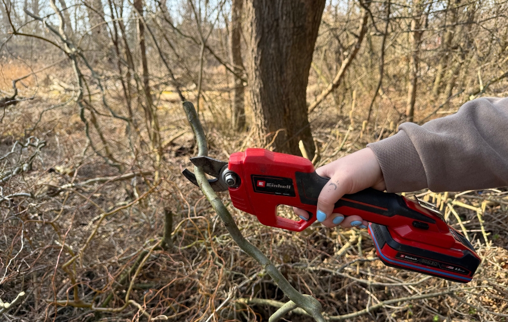 Hand cutting a branch in the garden with a red Einhell cordless pruning shear.