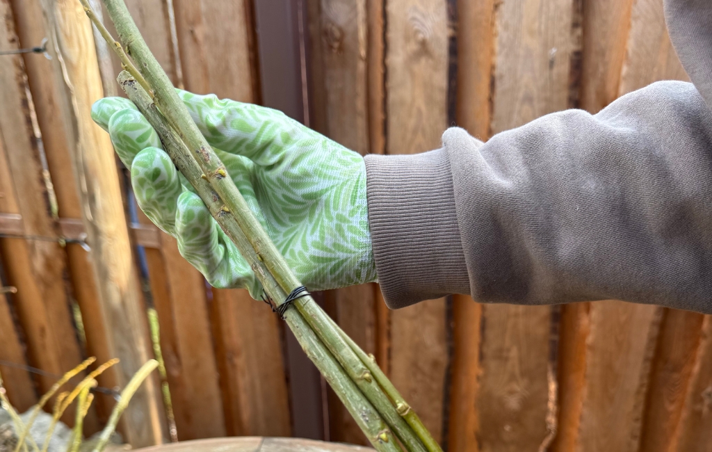 Hands wearing gardening gloves holding several thin branches over a wooden table.