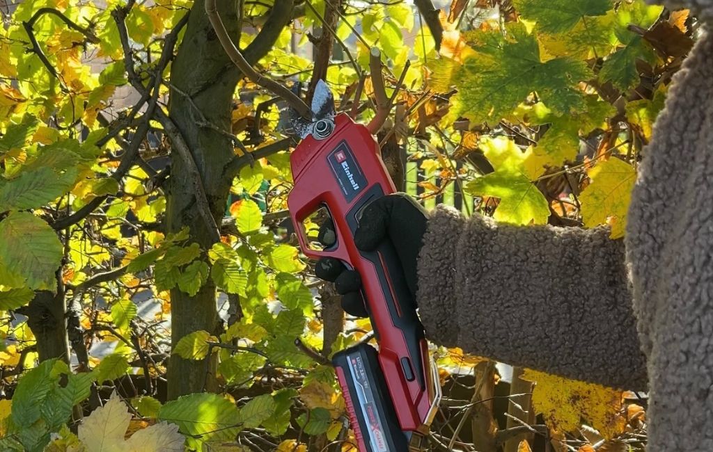 A person is cutting a branch in the garden using the Einhell cordless pruning shears.