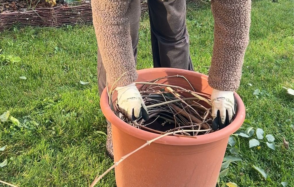 A person wearing gloves places cut branches into a large flowerpot on the lawn.