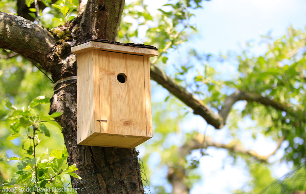 Ein hölzernes Vogelhaus hängt an einem Baumstamm in einem grünen Garten.