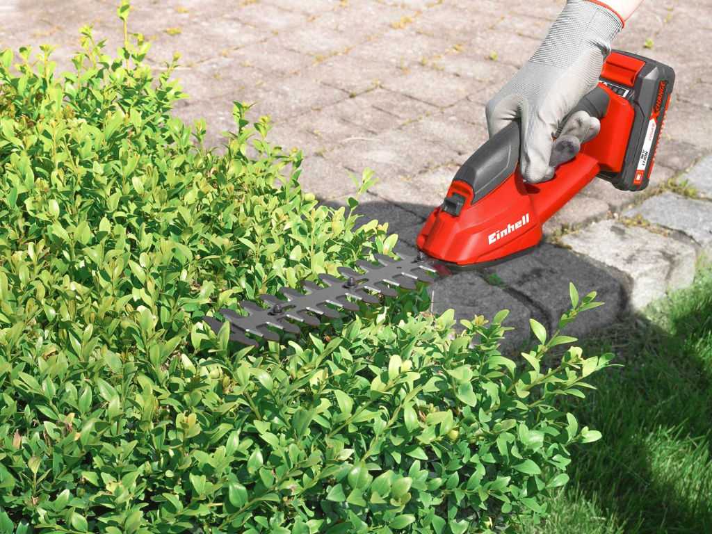 einhell grass shears in use