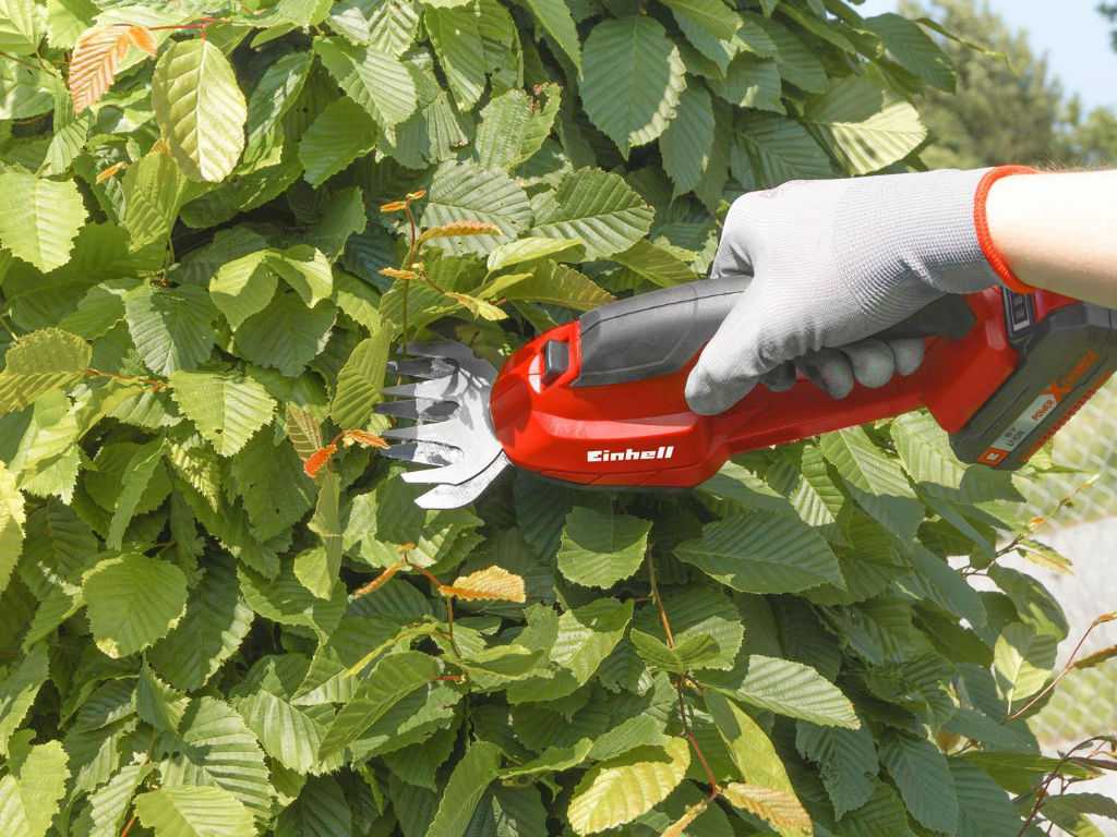 Einhell shrub shears as used on a hedge