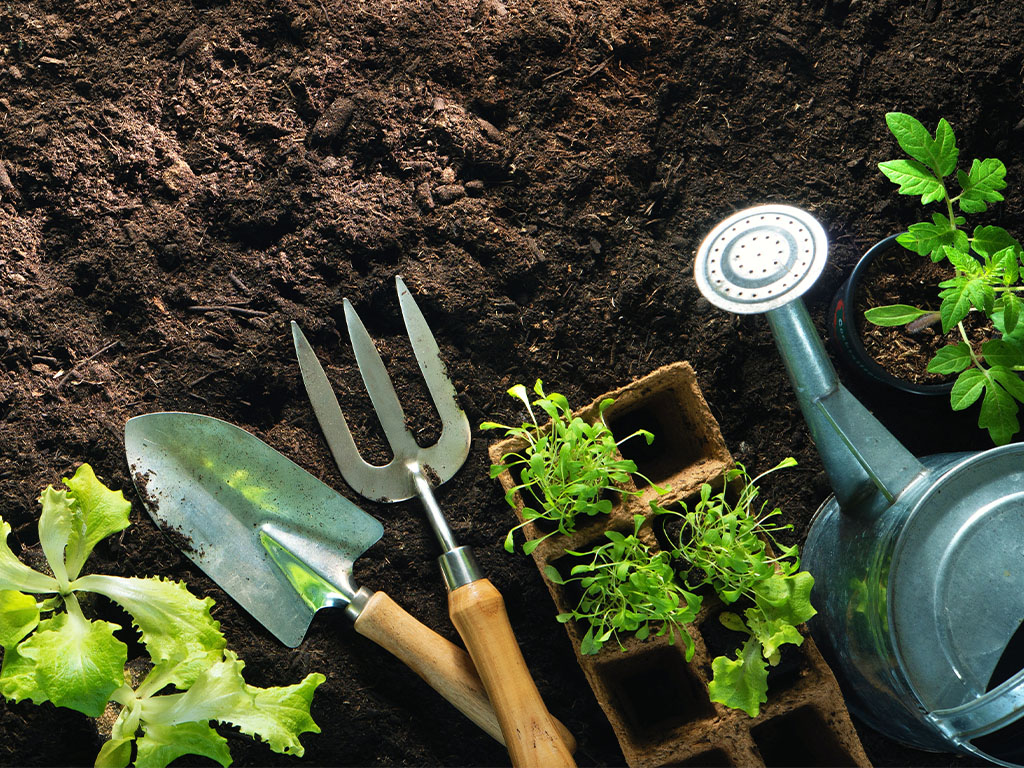 A picture of various gardening tools and vegetables