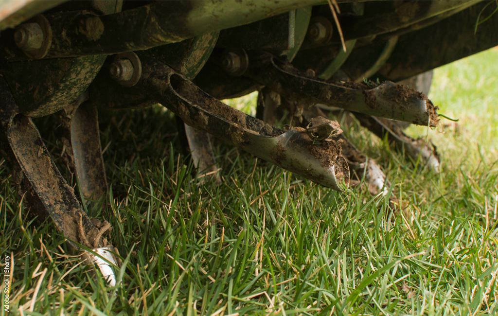 A core aerator cuts holes in a lawn.
