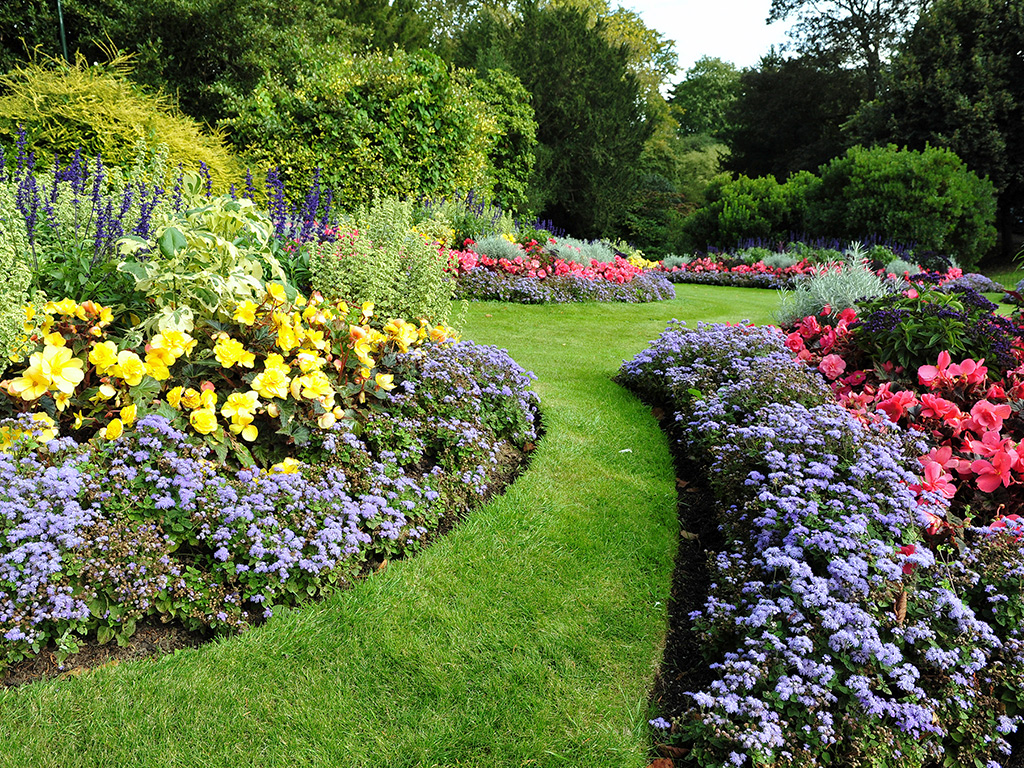 garden with different colored flowers