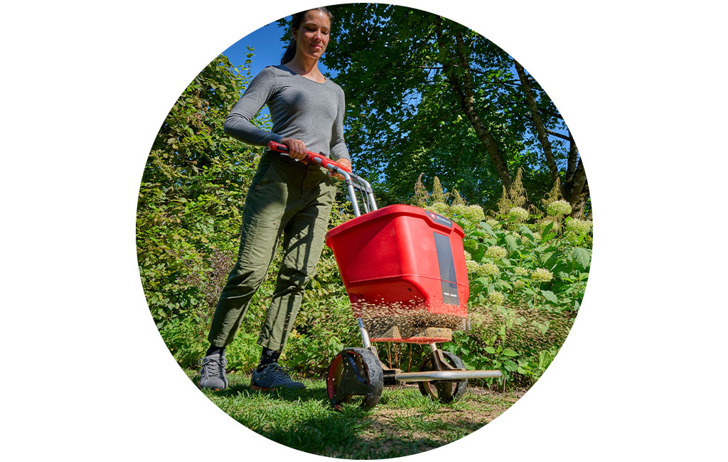 A woman fertilizes the lawn with the battery-powered multi-purpose spreader from Einhell.