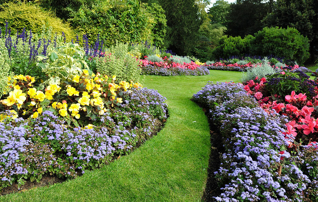 Picture of a garden with many colorful flowers.