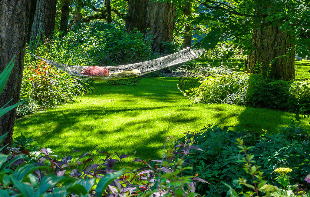 Picture of a hammock hanging between two trees.