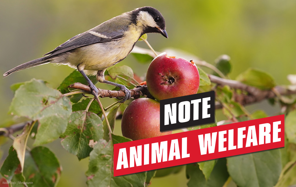 A bird sits on an apple tree. Text in the foreground: “Note - Animal welfare”