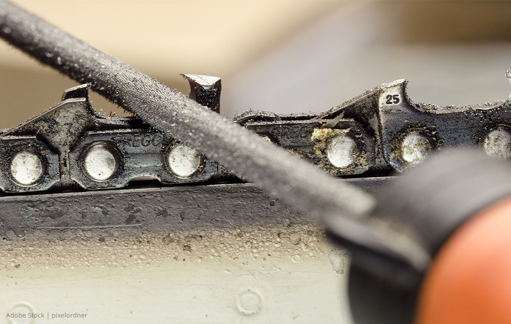 A saw tooth of a saw chain is sharpened with a file.