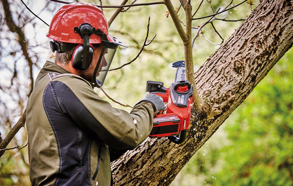A man cutting a branch off a tree with a chainsaw.