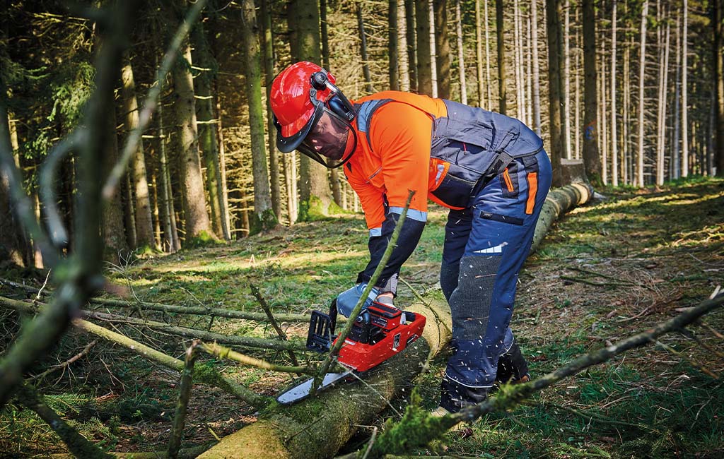 A man using a chainsaw to cut small branches from a tree trunk lying in the forest.