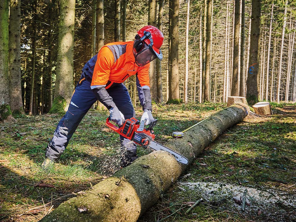 A man cutting a thick tree trunk lying in a forest into pieces with a chainsaw.