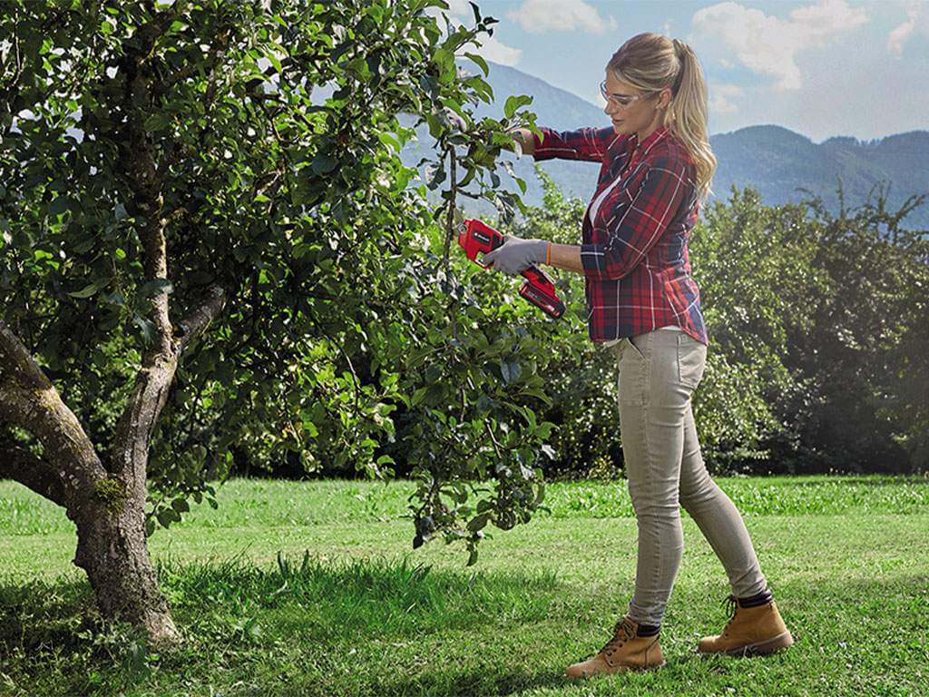 a woman cuts a branch with pruning shears