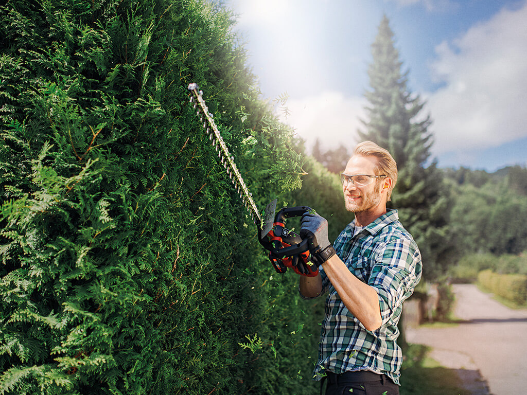 a man cuts the hedge with hedge trimmers