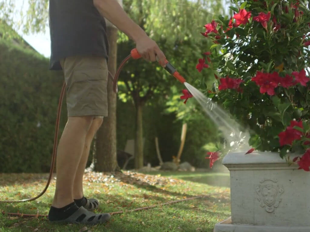a man waters flowers with a water hose