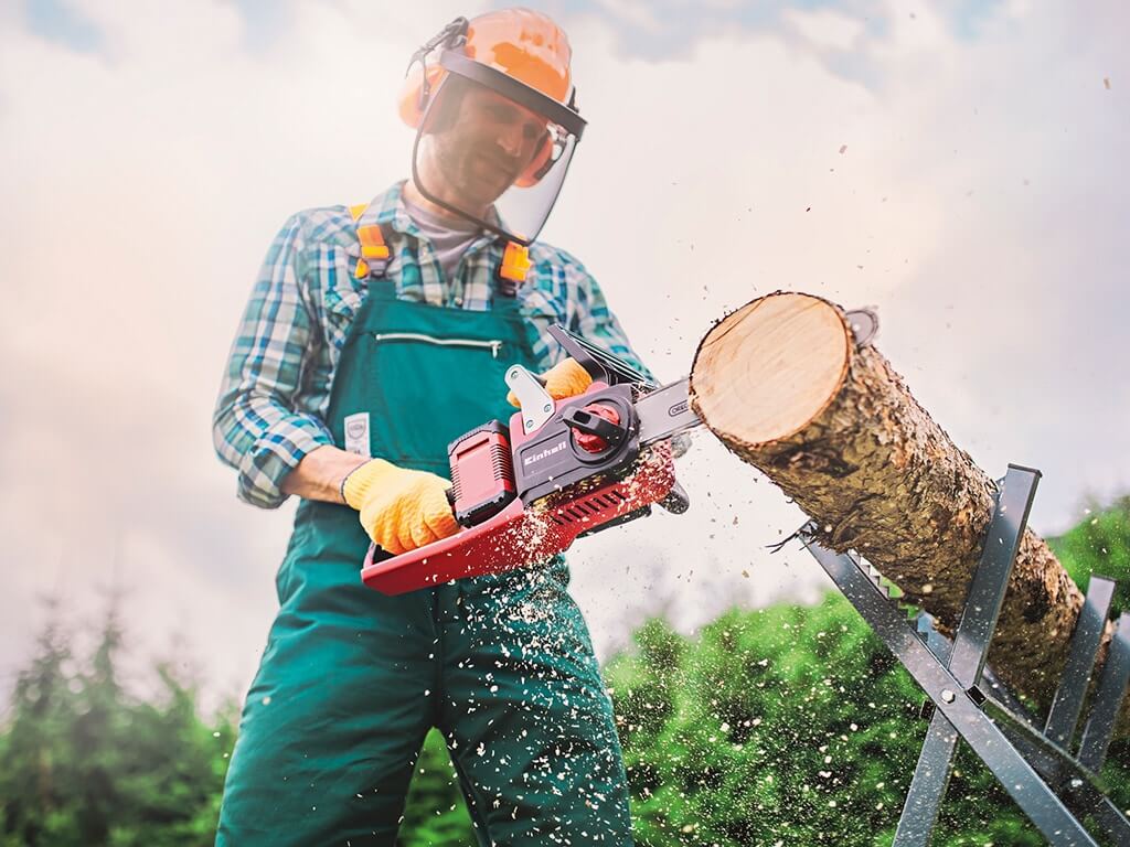 tree trunk is cut with a chainsaw