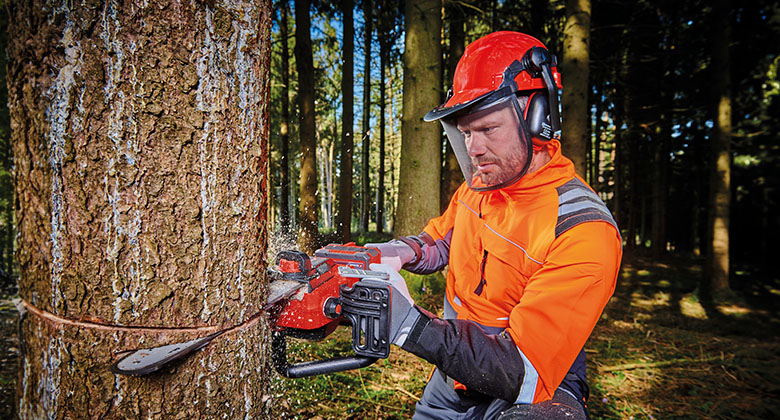 ein Mann sägt in einen Baum mit einer Einhell Kettensäge