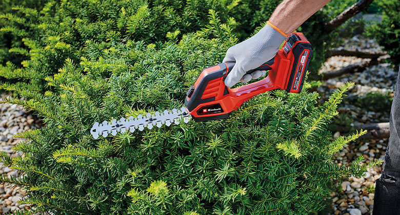 Grass shears sales