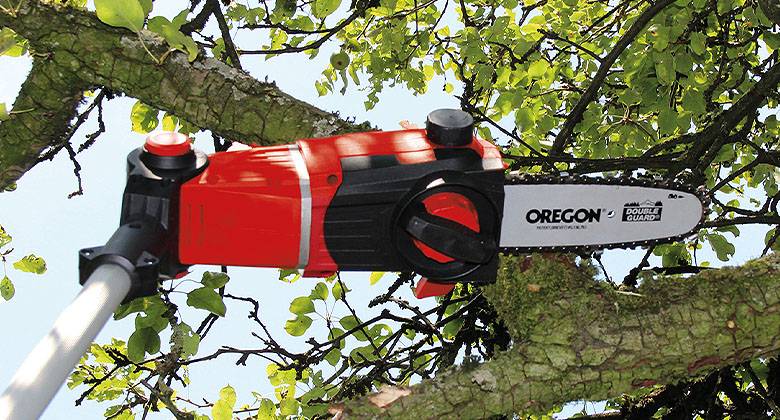 Einhell pole saw new arrivals