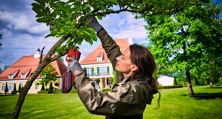 Woman cuts a branch on a tree in a garden in front of a house using a red cordless pruning saw.