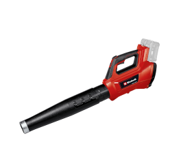 Picture of a leafblower vacuum.